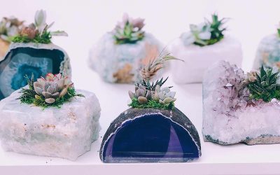 Literatura koja mi je pomogla.